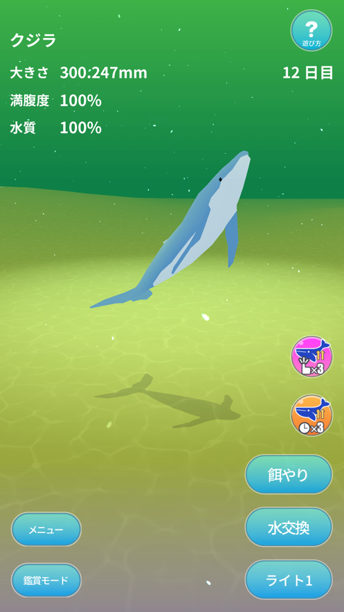 鲸鱼世界